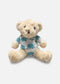 Cute Sitting Bear Teddy